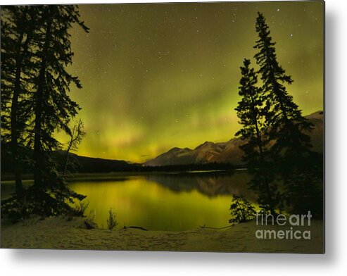 Canadian Northern Lights Metal Print featuring the photograph Pine Tree Silhouettes by Adam Jewell