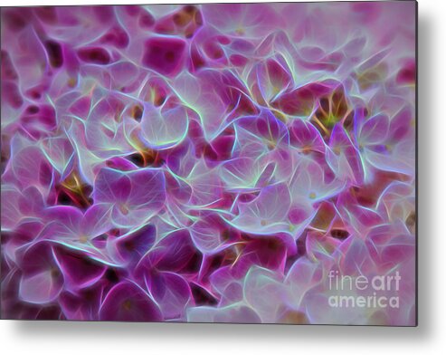Nature Metal Print featuring the photograph Pink Hydrangea Glow by Sharon McConnell