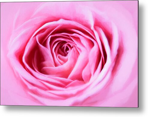 Rose Metal Print featuring the photograph Pink Rose by Cindi Ressler