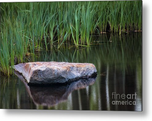 Pond Metal Print featuring the photograph Pond by Anthony Michael Bonafede