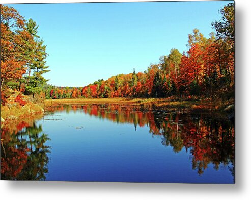 Killarney Provincial Park Metal Print featuring the photograph Pond Reflections by Debbie Oppermann