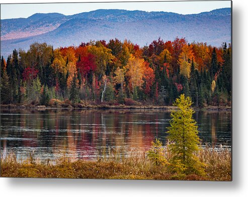 Pondicherry Wildlife Conservation Metal Print featuring the photograph Pondicherry fall foliage reflection by Jeff Folger
