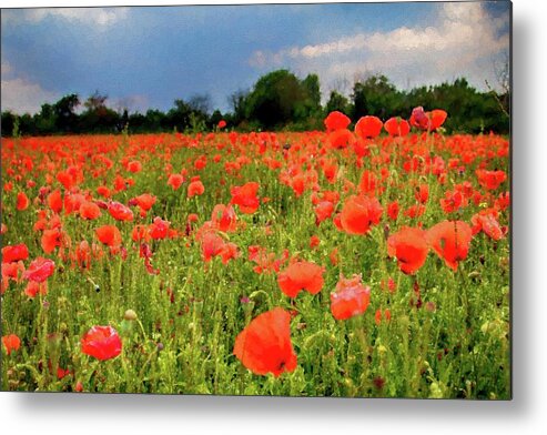 Landscape Metal Print featuring the photograph Poppies in Watercolor by Leah Palmer