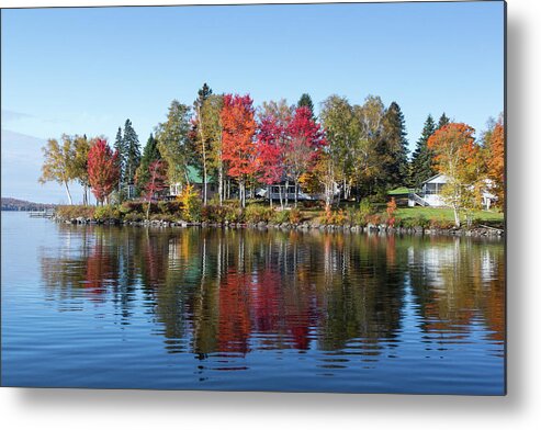 Foliage Metal Print featuring the photograph Popping Colors by Darryl Hendricks