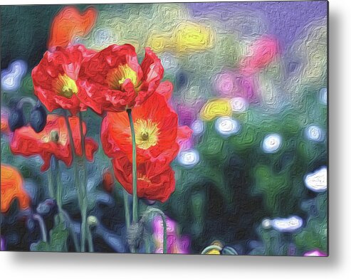 Poppies Metal Print featuring the photograph Poppy Delight by Vanessa Thomas