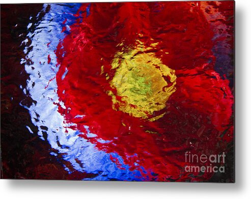 Red Metal Print featuring the photograph Poppy Impressions by Jeanette French