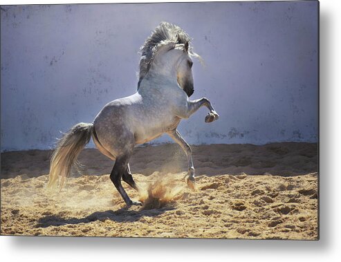 Russian Artists New Wave Metal Print featuring the photograph Power in Motion by Ekaterina Druz