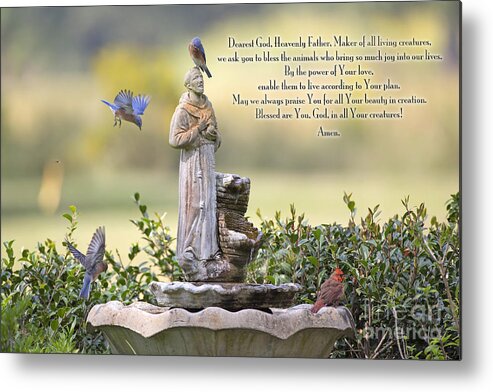 Prayer For Animals Metal Print featuring the photograph Prayer for the Animals that Bless our Lives by Bonnie Barry