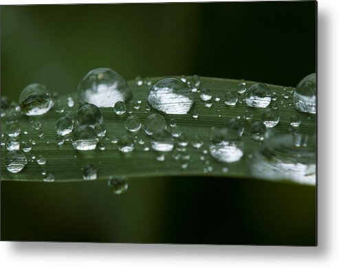 Beautiful Metal Print featuring the photograph Precious water by Brian Green