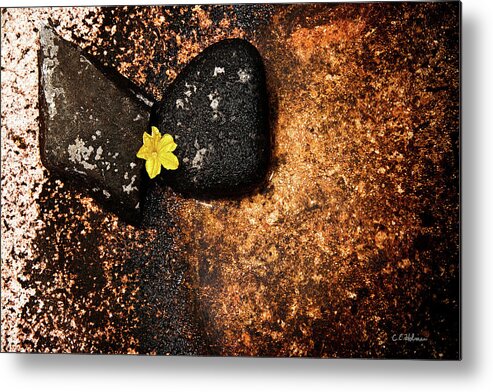 Rocks Metal Print featuring the photograph Pressured by Christopher Holmes