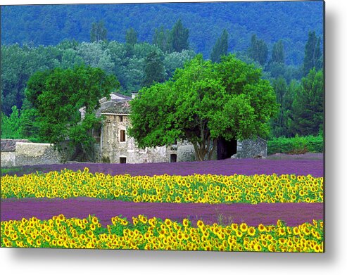 Provence Metal Print featuring the photograph Provence by John Galbo