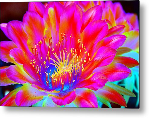 Flower Metal Print featuring the photograph Psychedelic Pink Flower by Richard Henne