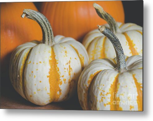 Holidays Metal Print featuring the photograph Pumpkins 8 by Andrea Anderegg