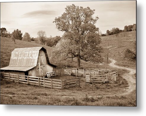 America Metal Print featuring the photograph Pure Arkansas in Sepia by Gregory Ballos