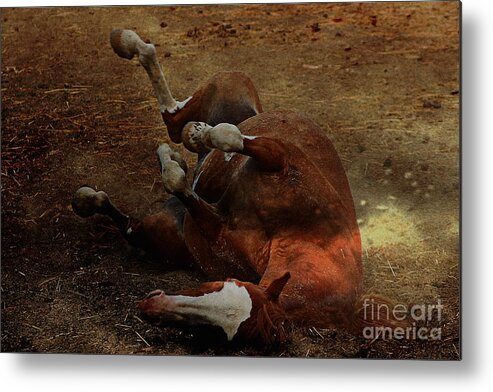 Horse Metal Print featuring the photograph Pure Enjoyment by Clare Bevan