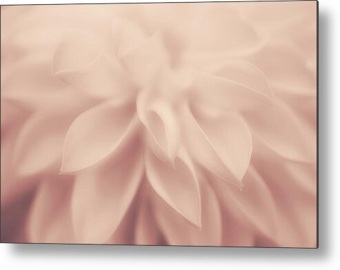  Metal Print featuring the photograph Pure Gentleness by The Art Of Marilyn Ridoutt-Greene