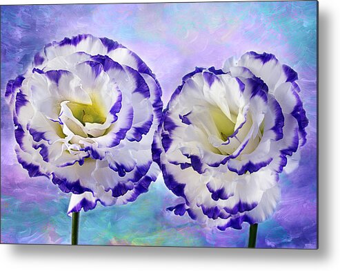 Lisianthus Metal Print featuring the photograph Purple Breeze by Marina Kojukhova