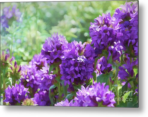 Flora Metal Print featuring the painting Purple Garden by Elaine Manley