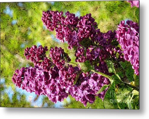 Bloom Metal Print featuring the photograph Purple Lilac 1 by Jean Bernard Roussilhe