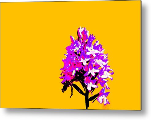Flowers Metal Print featuring the photograph Orange Pyramid orchid by Richard Patmore