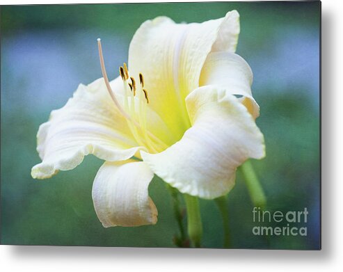 Daylily Metal Print featuring the photograph Queen of the Garden by Anita Pollak