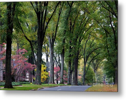 Queens Road West Metal Print featuring the photograph Queens Road West in the Fall by Jill Lang