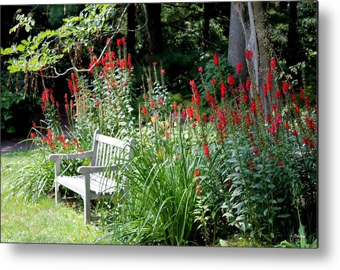 Flowers Metal Print featuring the photograph Quiet Chaos by Deborah Crew-Johnson