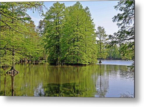 Water Metal Print featuring the photograph Quiet Waters by Linda Brown