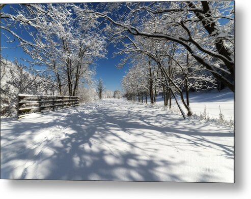 Snow; Frozen; Scene; Winter; Trail; Snow Scene Metal Print featuring the photograph Rail trail on snowy day by Dan Friend