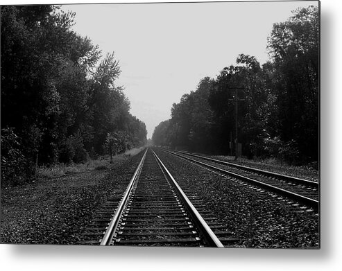 Railroad Metal Print featuring the photograph Railroad to Nowhere by Trish Tritz