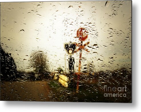 Art Metal Print featuring the photograph Rainy Day by Dimitar Hristov