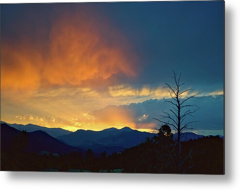 Landscape Metal Print featuring the photograph Ray by Ivan Franklin