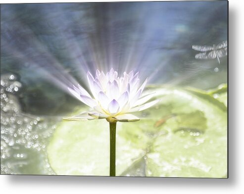 Rays Metal Print featuring the photograph Rays of Hope by Douglas Barnard