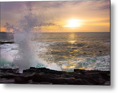 Bailey Island Metal Print featuring the photograph Reaching by Benjamin Williamson