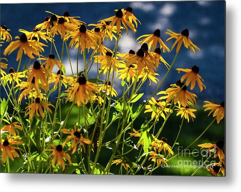 Flowers Metal Print featuring the photograph Reaching for the Blue Sky by Jale Fancey