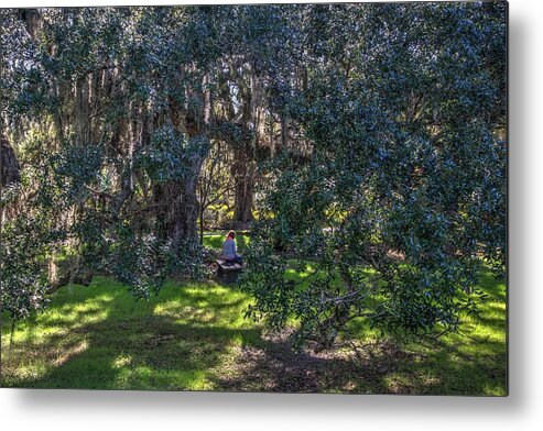 Beauty Metal Print featuring the photograph Reading in the Shade of Live Oaks by Dimitry Papkov