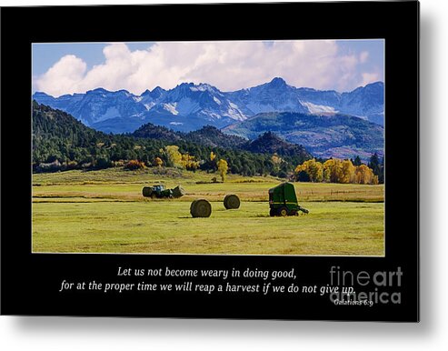 Reap A Harvestgalatians 6:9 Metal Print featuring the photograph Reap a Harvest by Priscilla Burgers