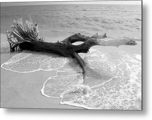 Photo For Sale Metal Print featuring the photograph Reclining at the Beach by Robert Wilder Jr