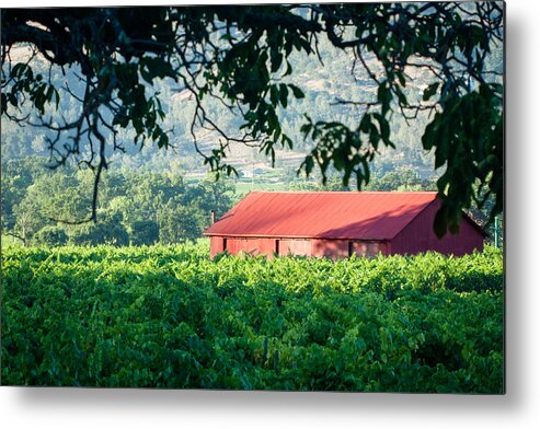 Barn Metal Print featuring the photograph Red Barn In Vineyard by Dina Calvarese