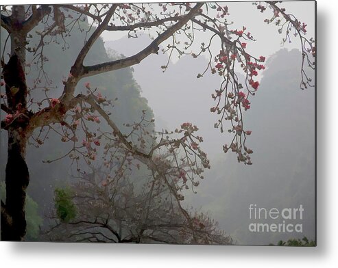 Vietnam Metal Print featuring the photograph Red Blossoms Vietnam by Chuck Kuhn