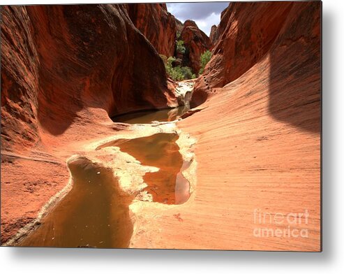 Red Cliffs Metal Print featuring the photograph Red Cliffs Pools by Adam Jewell