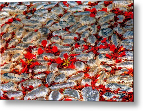 Red Metal Print featuring the photograph Red Cobblestone Road by James BO Insogna