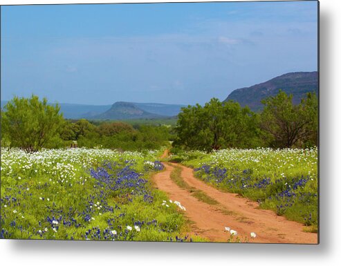 Willow City Loop Metal Print featuring the photograph Red Dirt Road With Wild Flowers by Brian Kinney