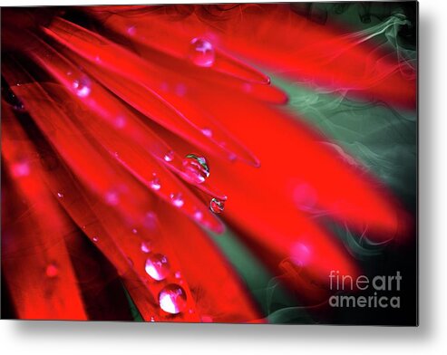 Flowers Metal Print featuring the photograph Red droplets by Yumi Johnson