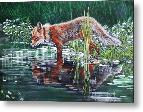 Fox Metal Print featuring the painting Red Fox Reflecting by John Neeve
