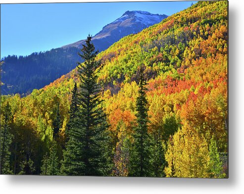 Colorado Metal Print featuring the photograph Red Mountain Pass Fall Color by Ray Mathis