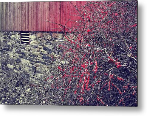 Barn Metal Print featuring the photograph Red Winter by JAMART Photography