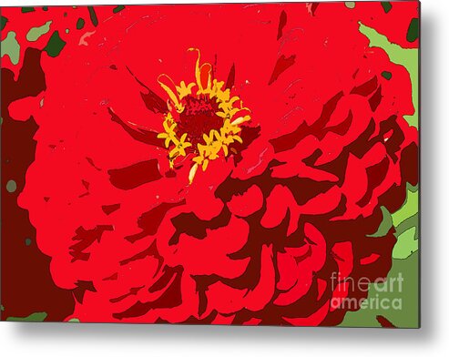 Zinnia Metal Print featuring the photograph Red Zinnia by Jeanette French