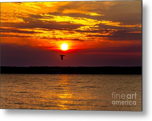 Sunrise Metal Print featuring the photograph Redeye Flight by William Norton