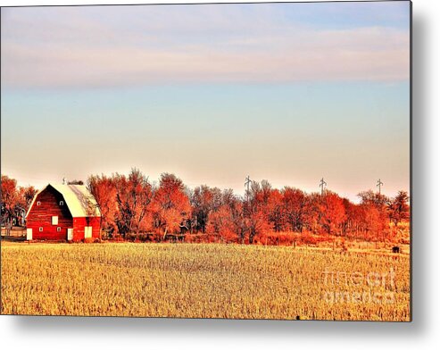 Barn Metal Print featuring the photograph Reds and Oranges by Merle Grenz